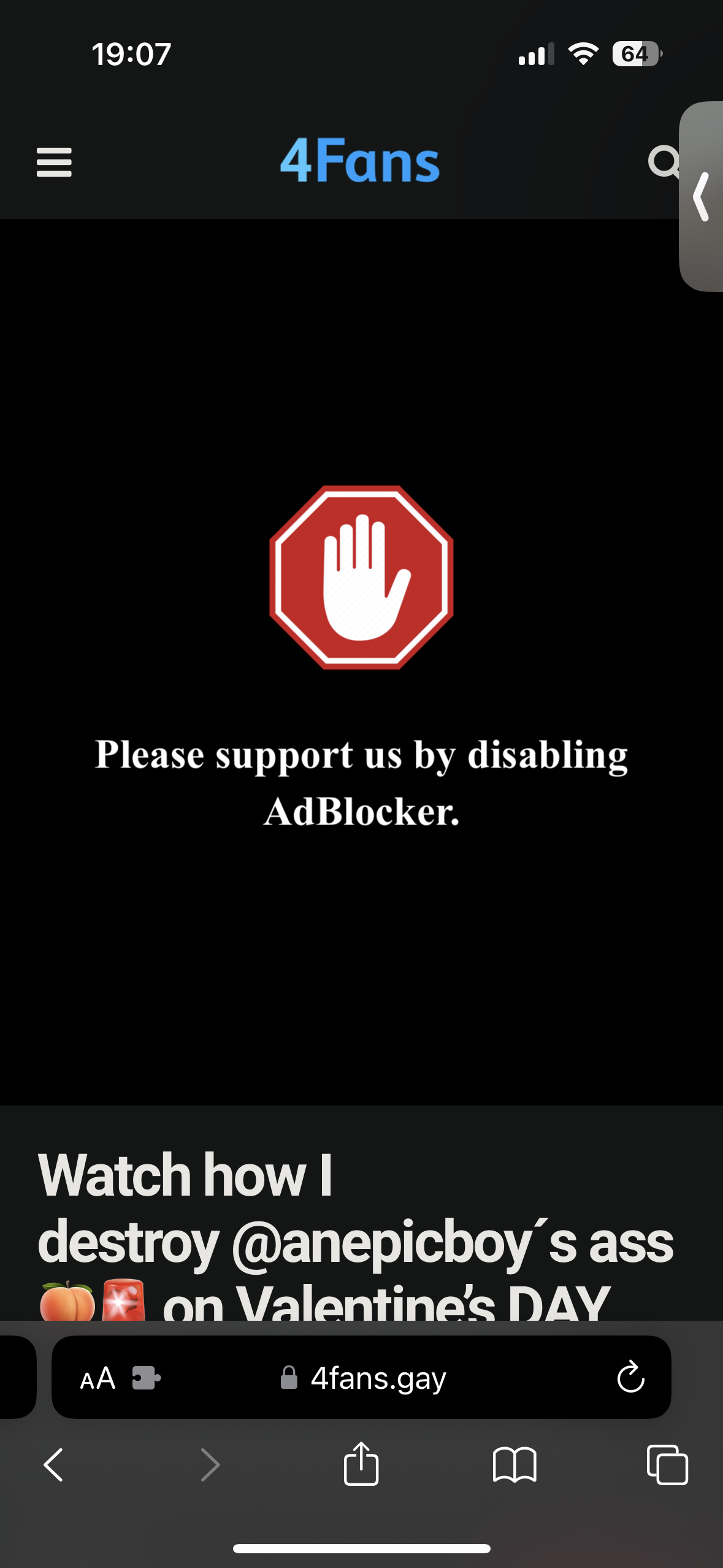 4fans.gay · Issue #178608 · AdguardTeam/AdguardFilters · GitHub
